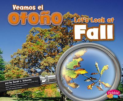 Let's look at fall = Veamos el otoño