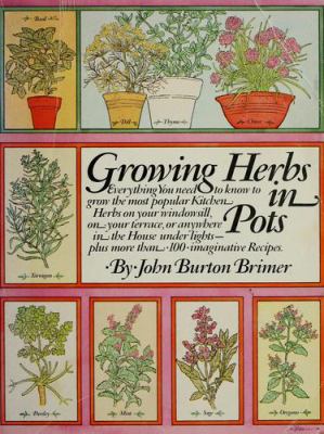Growing herbs in pots
