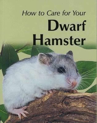 How to care for your dwarf hamster