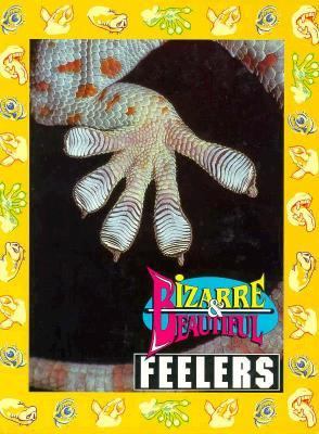 Bizarre & beautiful feelers