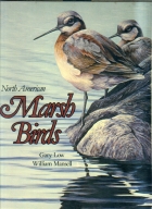 North American marsh birds