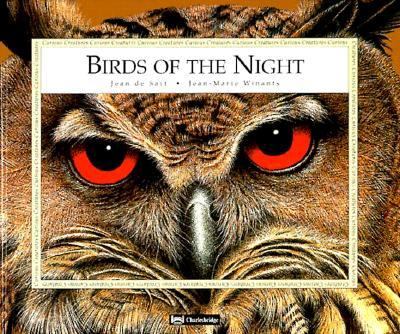 Birds of the night
