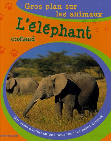 L'éléphant costaud