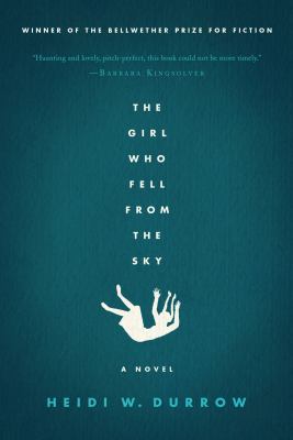 The girl who fell from the sky : a novel