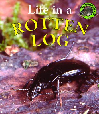 Life in a rotten log