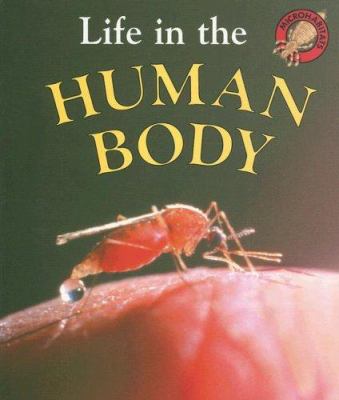 Life in the human body