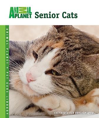 Senior cats