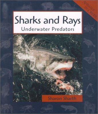 Sharks and rays : underwater predators