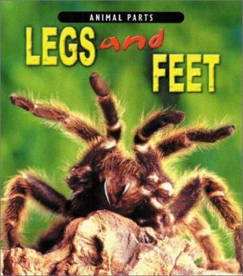 Legs and feet