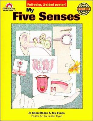 My five senses