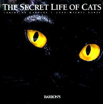 The secret life of cats