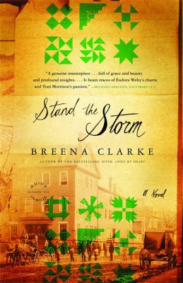 Stand the storm : a novel