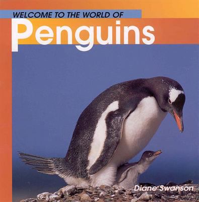 Welcome to the world of penguins