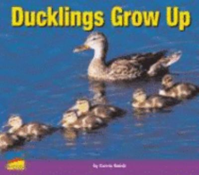 Ducklings grow up