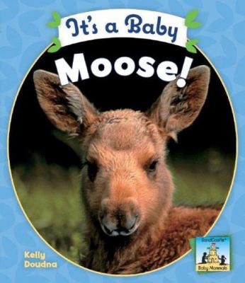 It's a baby moose!