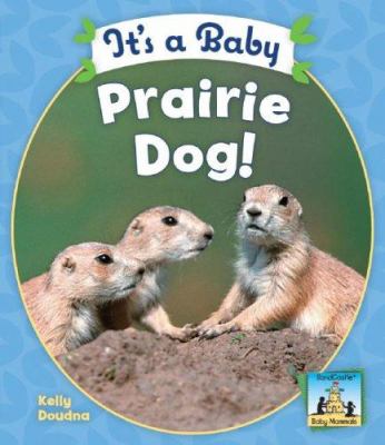 It's a baby prairie dog!