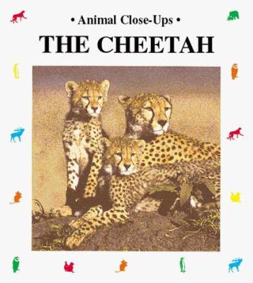 The cheetah, fast as lightning