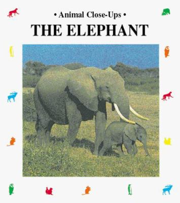 The elephant, peaceful giant