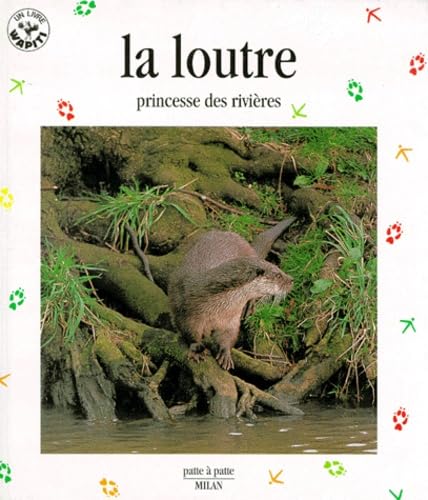 La loutre : princesse des rivières