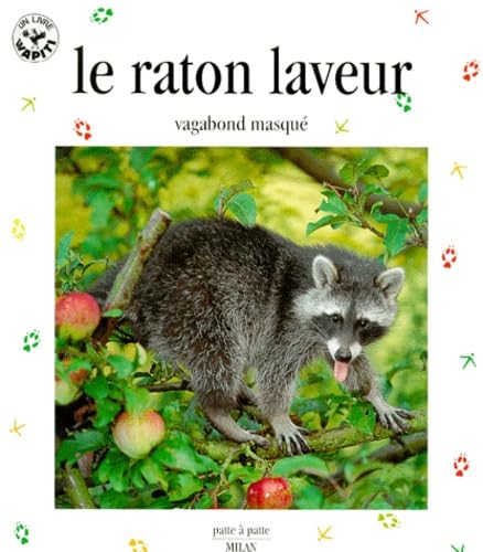 Le raton laveur : vagabond masqué