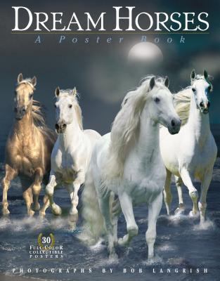 Dream horses : a poster book