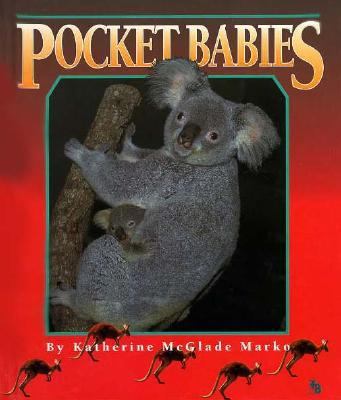 Pocket babies