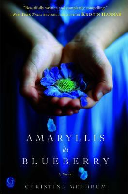 Amaryllis in blueberry