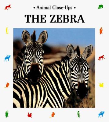 The zebra, striped horse