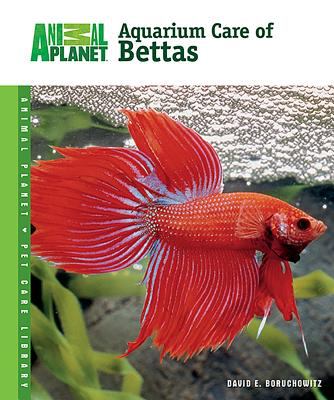 Aquarium care of bettas