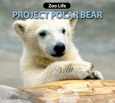 Project polar bear