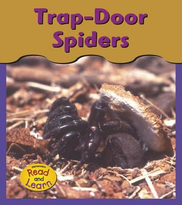 Trap-door spiders