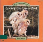 Snowy, the barn owl