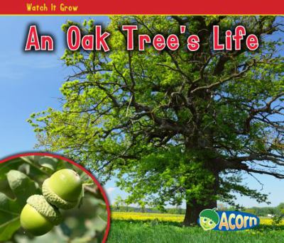 An oak tree's life