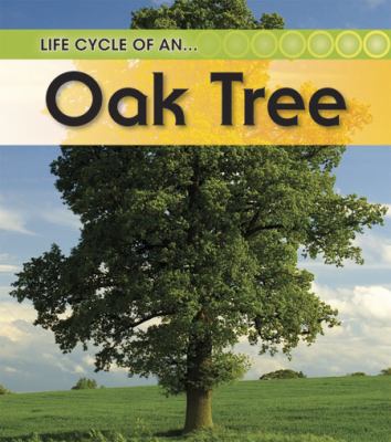 Life cycle of an-- oak tree