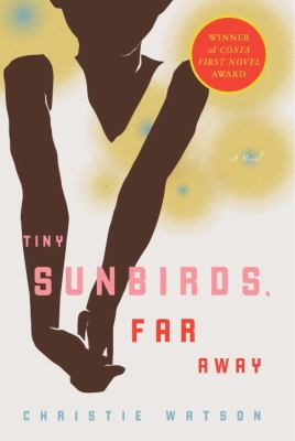 Tiny sunbirds, far away : a novel