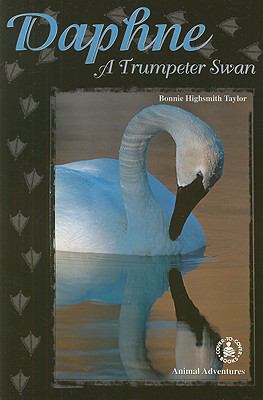 Daphne : a trumpeter swan