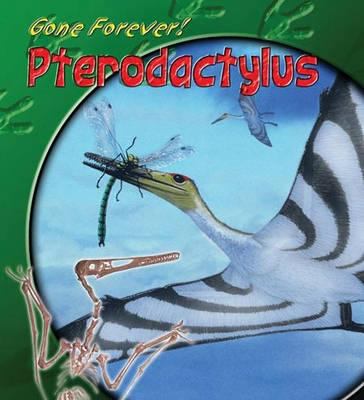 Pterodactylus