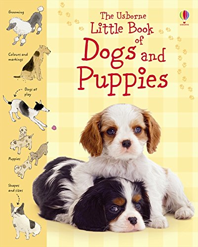 The Usborne little book of dogs and puppies