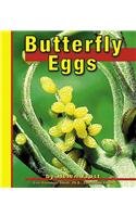 Butterfly eggs