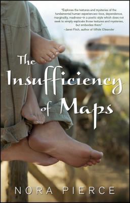 The insufficiency of maps : a novel
