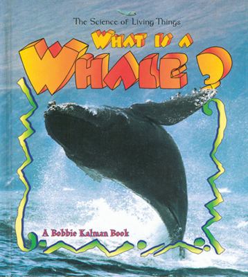 What is a whale?