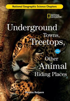 Underground towns, treetops, and other animal hiding places