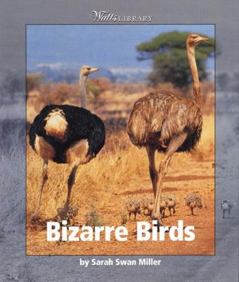 Bizarre birds