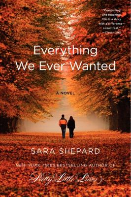 Everything we ever wanted : a novel