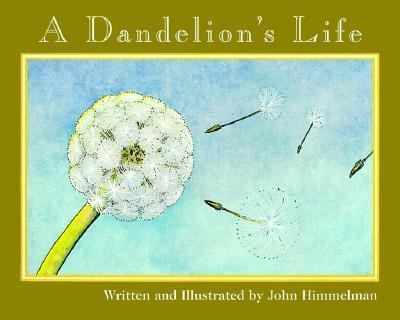 A dandelion's life