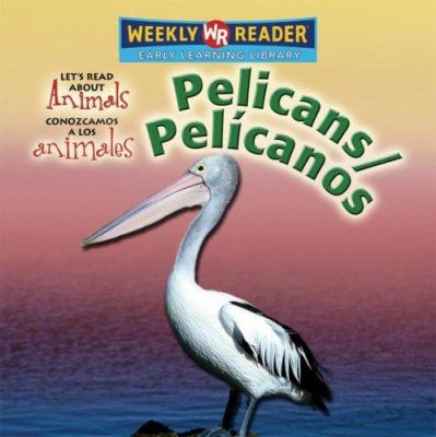 Pelicans = pelicanos