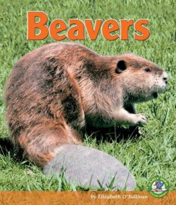 Beavers