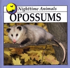 Opossums