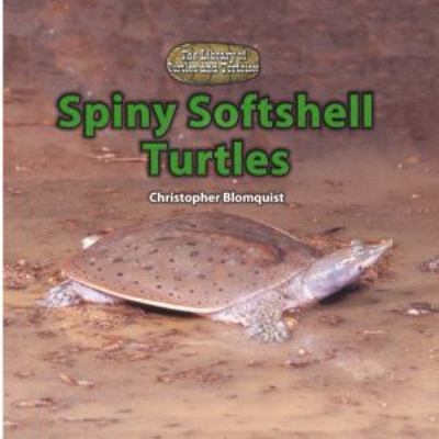 Spiny softshell turtles