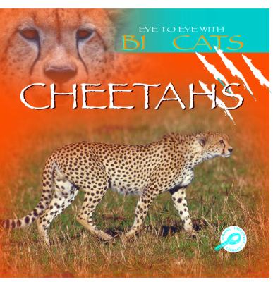 Cheetahs